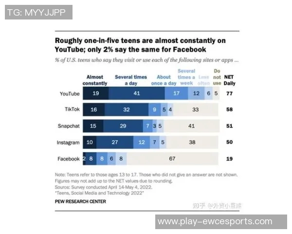 数据分析在Instagram平台上的技术表现与应用探讨